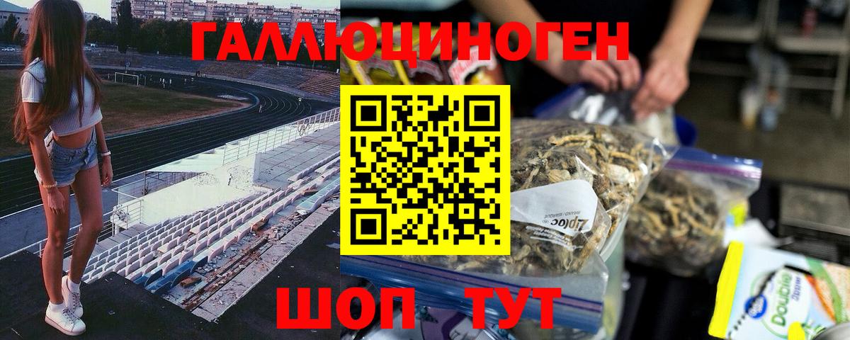 Псилоцибиновые грибы Psilocybine cubensis Улан-Удэ