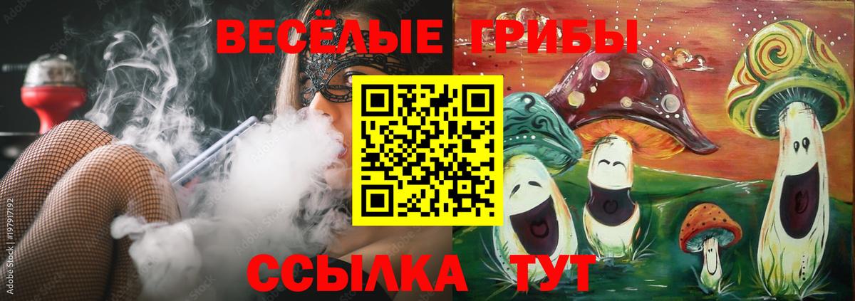 Псилоцибиновые грибы Psilocybe  Вход с VPN  Псилоцибиновые грибы ЛСД  Улан-Удэ 